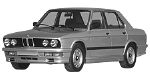 BMW E28 P2202 Fault Code